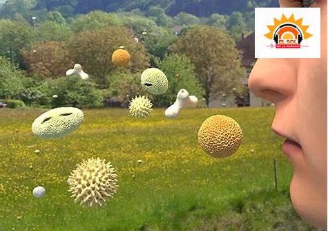 Remedios naturales para la alergia al polen