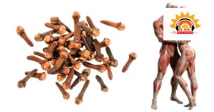 Clavo de olor hombres: 7 beneficios para la salud masculina