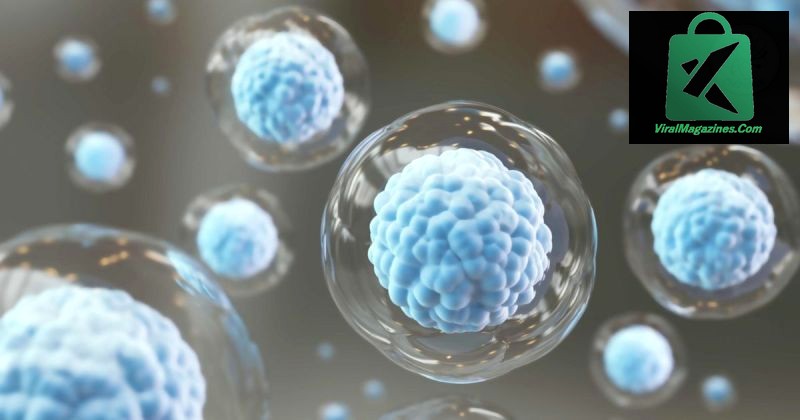 Logro contra la diabetes tipo 1: científicos logran transformar células estomacales en células productoras de insulina